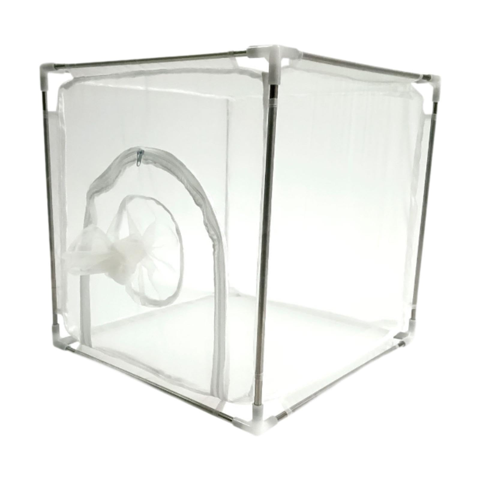 Cage à papillons jardin serre extérieure grande volière ornementale