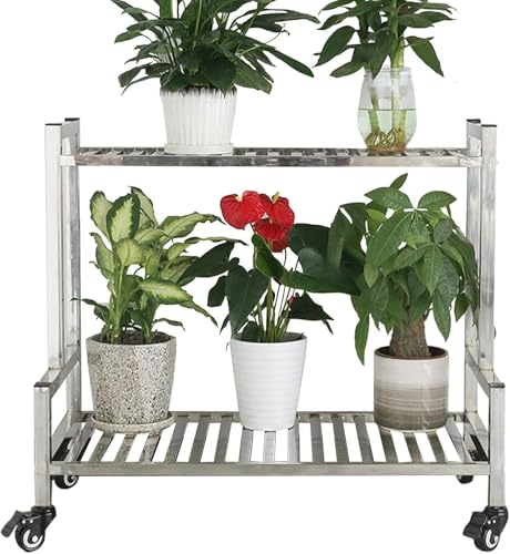 OGFC 31549 Stainless Steel Plant Stand 2 Tier Flower Pot Display Shelf Rack for Indoor Outdoor Home Patio Lawn Garden Balcony Organizer Planter Holder (Size : 60x40x70cm)