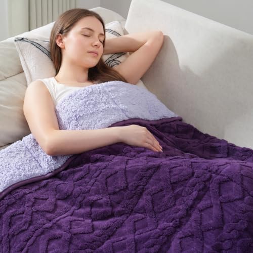Image of Drewin Queen Size 15lbs Weighted Blanket for Adults, Soft Cozy Turtleback Sherpa Weighted Blankets for Sleeping and Calming, Thick Bed Blanket for Couch Bed, 48 x 72 inches, Dark and Light Purple