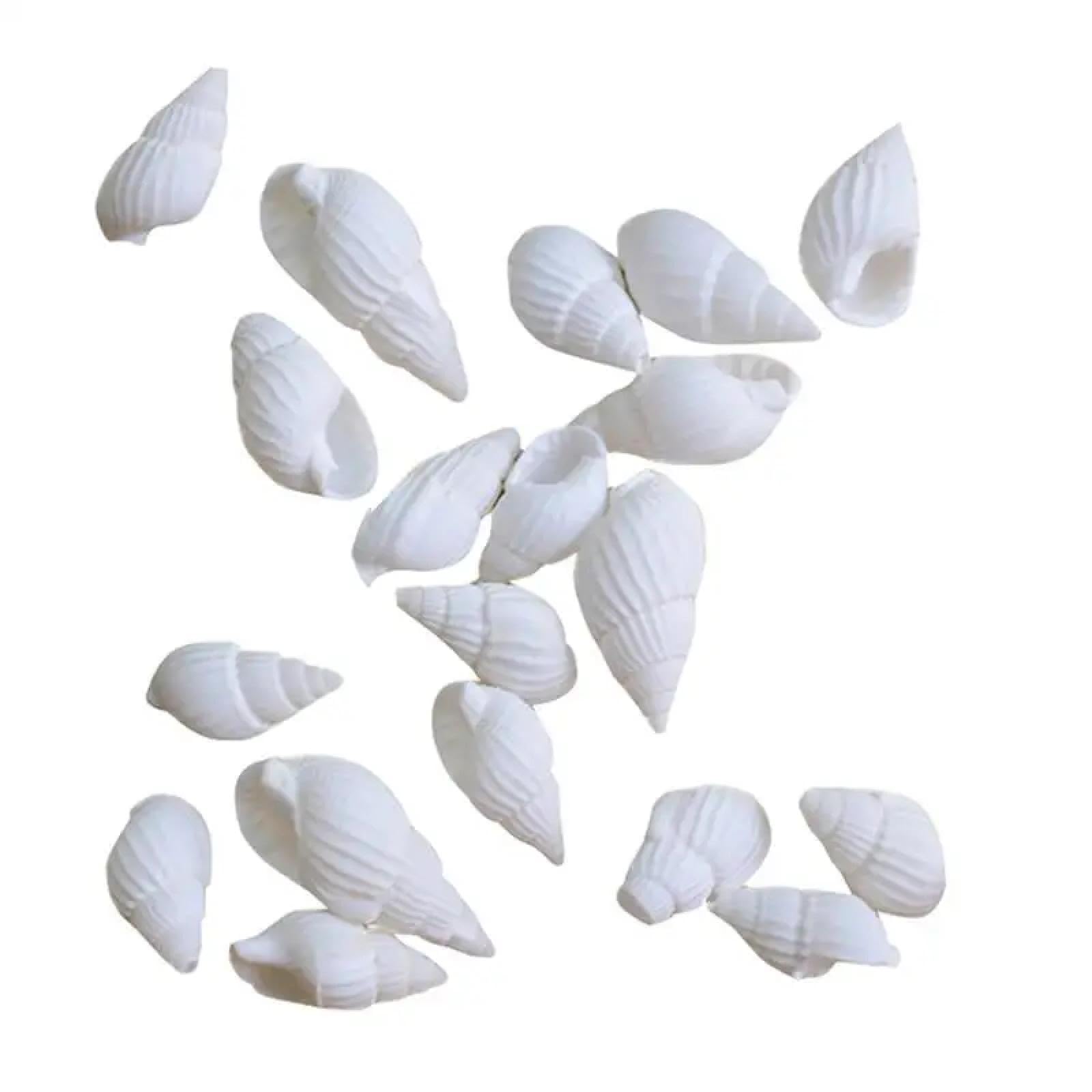 Conchiglie per decorazione, 100 pezzi, 1 x 0,5 x 0,5 cm, conchiglie marine, artigianato, matrimonio, giardino, acquario, conchiglie assortite