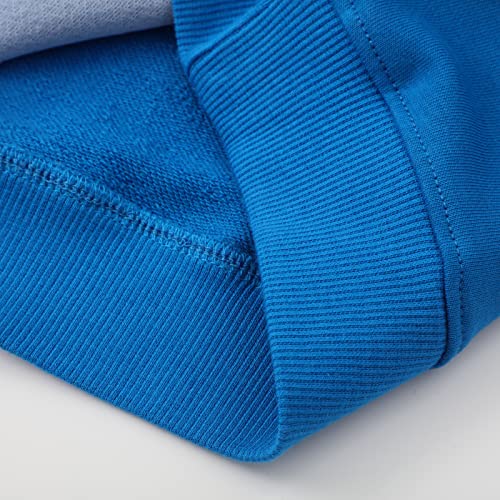 Image of Akyzic Boys Sweatshirts Cotton Long Sleeve Crewneck Pullover Toddler Kids Winter Warm Shirt Sweater Tops 3t-8t