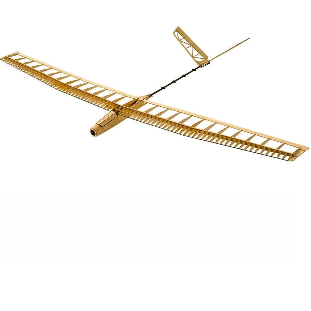 Dancing Wings Hobby Balsa Wood Glider Plane, 3CH RC Electric Radio Controlled Aeroplane, Unassembled Laser Cut UZI Aircraft Model Building Kits for Adults (F1404C)