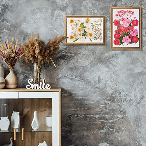 image for WILLBOND 126 Pieces Dried Pressed Flowers Natural Dried Flowers Colorf