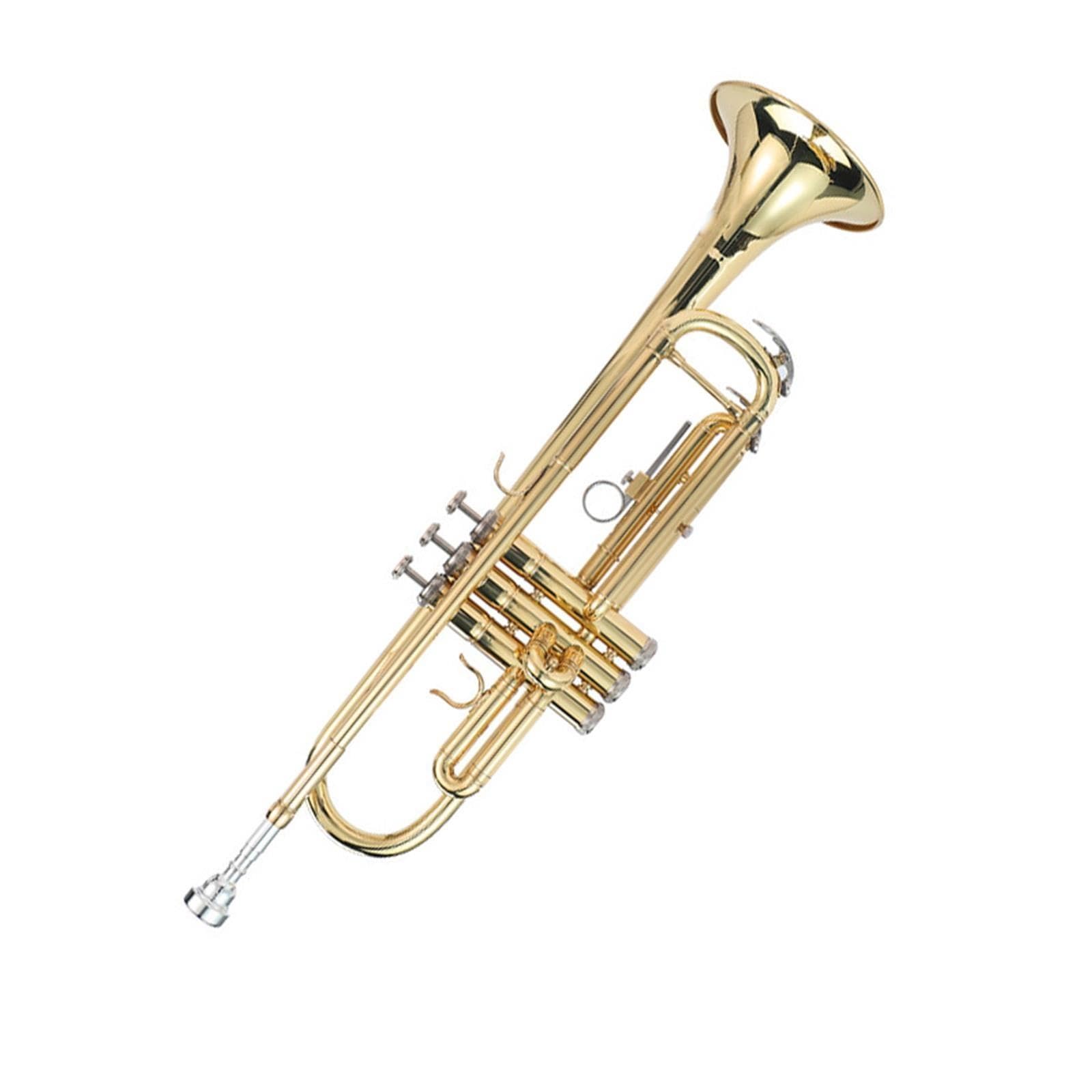 Adult Trumpet Trompette en si bémol débutant