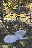 Best Friends 1731027613 Book Cover