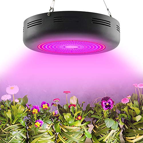 MILYN Lampe de croissance LED COB 1000 W Spectre complet LED Lumière de croissance Trois interrupteurs Lampe de croissance LED avec support de corde réglable pour plantes d'intérieur légumes et fleurs