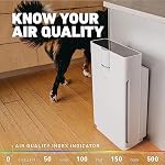 HATHASPACE HSP002 True HEPA Air Purifier Plus H13 True HEPA Filter Replacement - Image 5