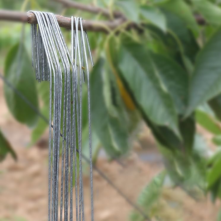 Miniatura 6 de WLSANX Rama de árbol frutal, esparcidor de ramas de fruta, esparcidores de rama, extractor, máquina de atar, herramientas agrícolas, nuevo ciruelo,