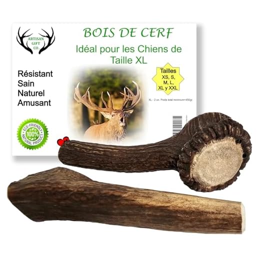 ARTISAN GIFT CO Bois de Cerf pour Chien a Mâcher 100% Naturel et Écologique – 2 Unités. Taille Très Grand (XL) Poids Total Min. 450g