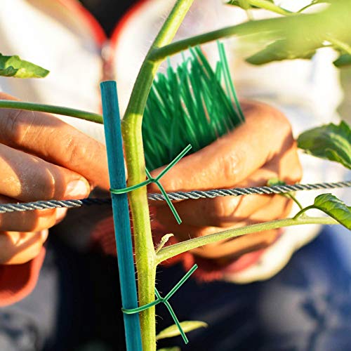 Pflanzenstützen 50 Stück,Pflanzstab Bambus 45 cm,Pflanzenstäbe,Grüne BlumenstäBchen BambusstäBe mit 50 Stück Metallischen Bindebändern,für Haus Garten Kletterpflanze Erweiterung der Pflanzenstütze