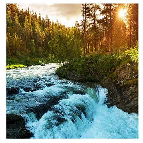 YRDSMZ Pintura Única Imagen De Arte De Pared Impresiones En Lienzo Las Imágenes para La Decoración Moderna del Hogar Sin Marco Arroyo Bajo El Sol-30X30Cm Cover