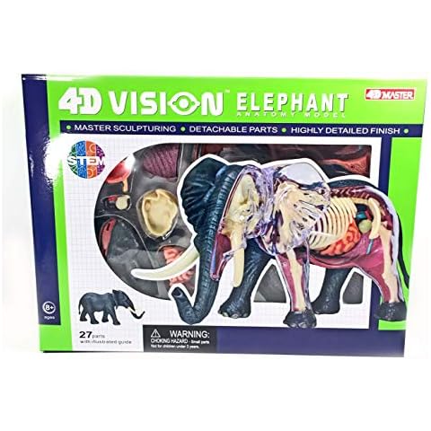 4D Vision Elephant Anatomy Model - Medical Quality Collectible with Fully Detachable Organs and Body Parts Cover