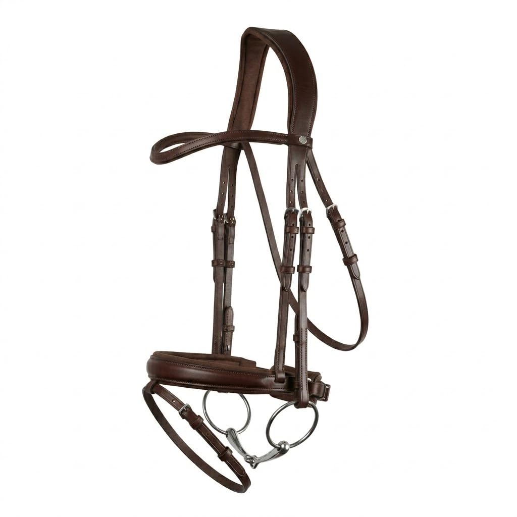 BLESSING PET SUPPLY Horse Riding Gears and Track Set (Brown, Leather Bridle with BIT)