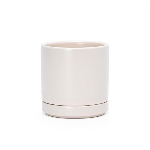 D'vine Dev 3.5 Inch Ceramic Planter Pot with Drainage Hole