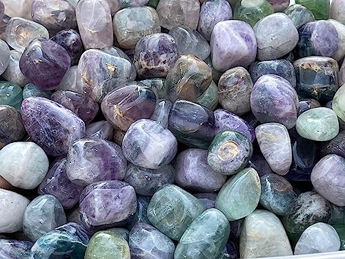 Image of GAF TREASURES 1 /2 LB Rainbow Fluorite Tumbled Stones, Polished Natural Rainbow Fluorite Gemstone, Rainbow Fluorite Healing Crystals (Rainbow Fluorite)