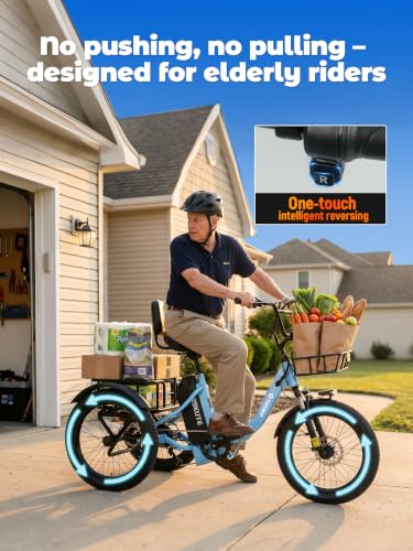 ESKUTE T300 MAX Electric Tricycle