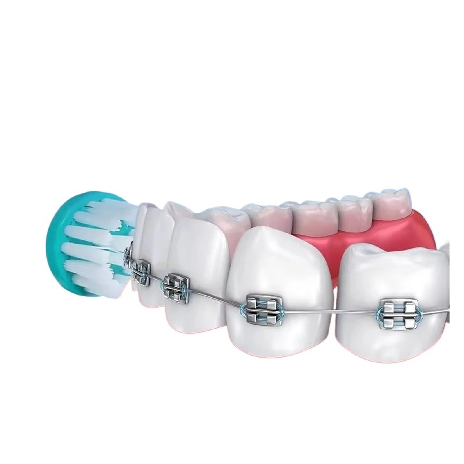 Testine For Spazzolino, Compatibili Con Oral-B/Ortho Power Tip