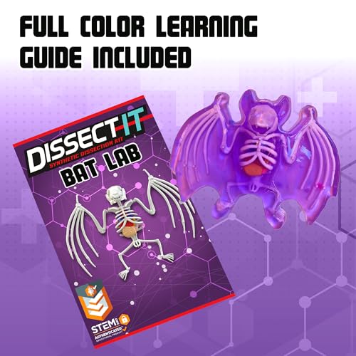 Image of Top Secret Toys Dissect-It Mini Labs Bat Lab Dissection Kit for Kids, Realistic Synthetic Kids Science Kit - On, Biology and Animal Anatomy, STEM Toy, Ages 6+
