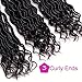 6 Packs Goddess Locs Crochet Hair Wavy Curly Faux Locs Crochet Braids Synthetic Hair Extensions Dreadlocks Crochet Low Temperature Braiding Hair (14