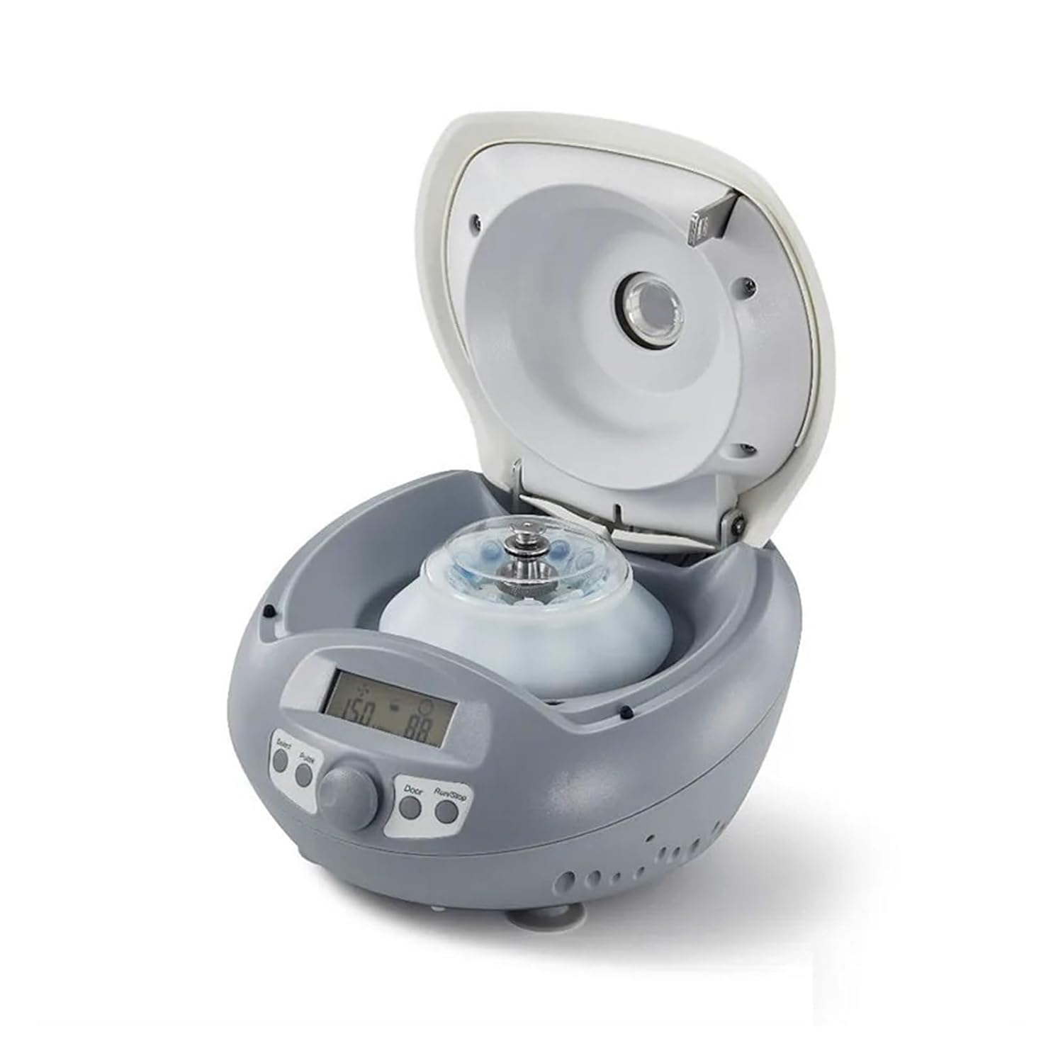 名前つき　ダリア　掘り上げたままセット　写真ぜんぶ 名前つき ダリア 掘り上げたままセット 写真ぜんぶ