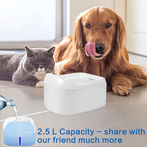 Fuente de agua automática para gato BLACKNANA miniatura 2