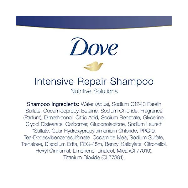 Dove Nutritive Solutions Strengthening Shampoo Intensive Repair 4 Count for Damaged Hair Dry Hair Shampoo Formula With Keratin Actives 20.4 oz