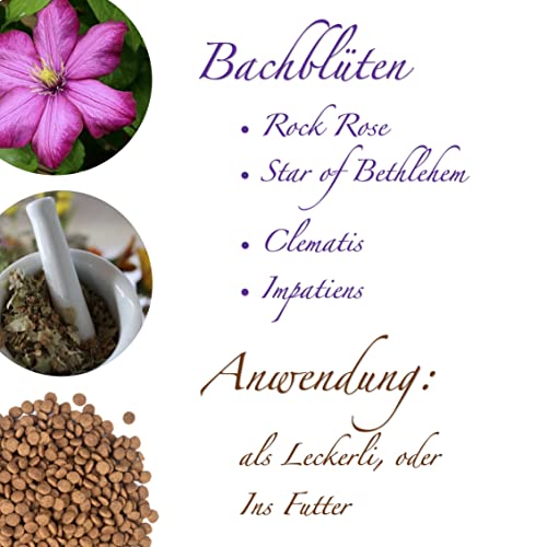 Relax Drops Hund – Natürliche Beruhigungs-Leckerlis mit Bachblüten & Kamille | Unterstützen Ruhe & Gelassenheit bei Stress, Nervosität & neuen Situationen | Hohe Akzeptanz | Made in Germany | 92 g
