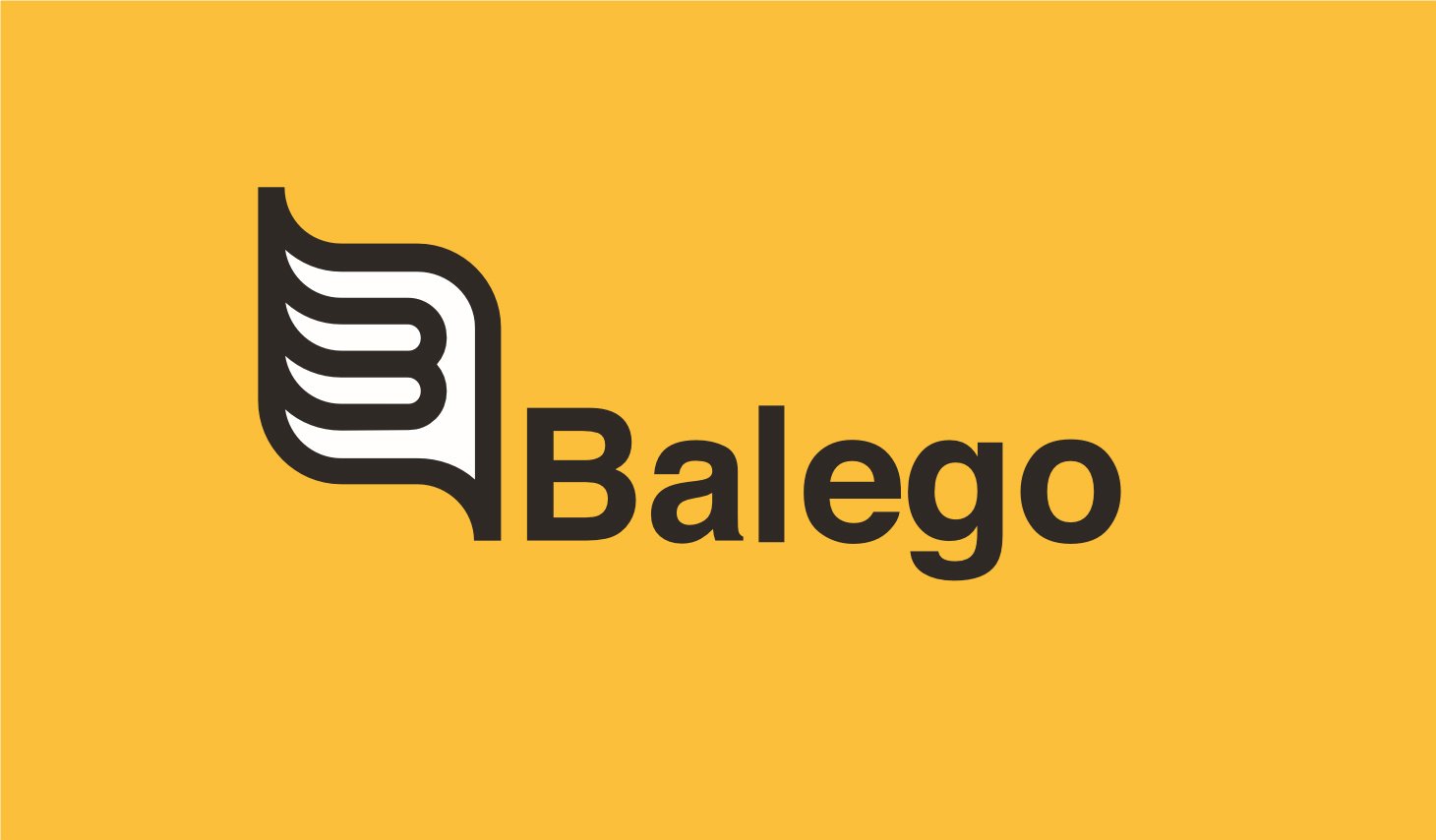 Balego Metal Bracket Overhead Pulley System with Stoppers, Adjustable Cord Length and Printed Patient Guide