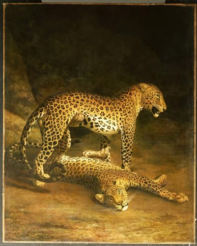 Cuadro de lienzo de leopardos de Agasse para decoracion de salon en formato 60x90cm