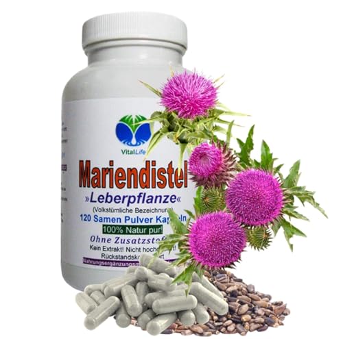Mariendistel Leber Komplex 120 Kapseln TOP Leber-Pflanze mit natürlichem Silymarin - NATUR pur [LEBER & GALLE Komplex] OHNE Zusatzstoffe 26408