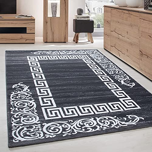 Tapis de salon moderne Miami 6620 pour sublimer votre entrée