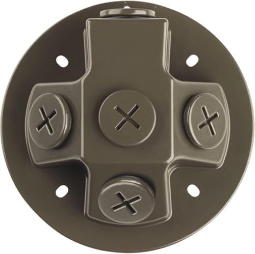 Progress Lighting P6343-20 Backplate Flood Light, Antique Bronze