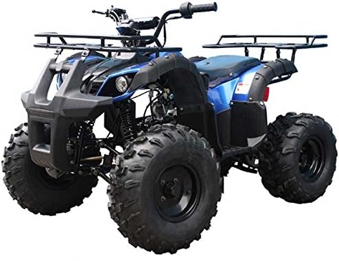Taotao ATV Quad Youth 4 Wheeler with Reverse