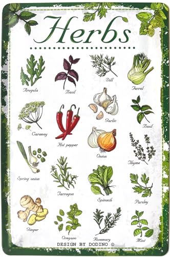 DODINO 20x30cm blechschilder Küchen Deko Garten Kräuter Wand Metall...