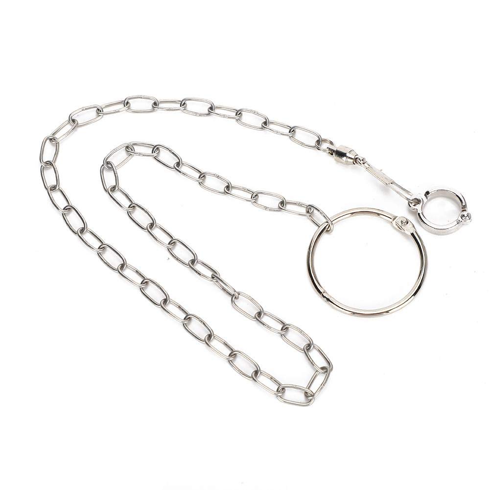 Catene per Piedi per Uccelli Accessori per Anelli per Caviglie in Acciaio Inossidabile Guinzaglio per pappagalli Pappagalli da Esterno Corda per addestramento al Volo Impedisci la Fuga