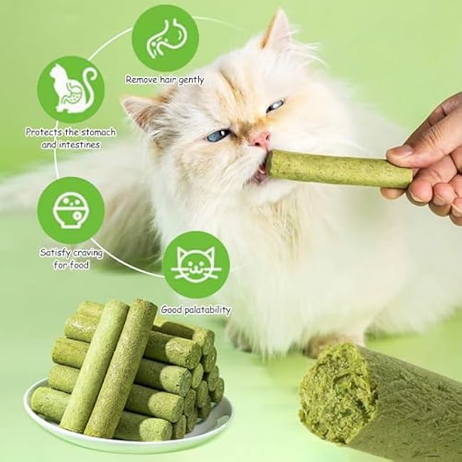 HavenJanny 50g Cat Grass Teething Stick, Freezed Drying Cat Grass Sticks Snacks for Cats, Edible Cat Treats for Teeth Cleaning and Hairball Removal-qD5z1o9X