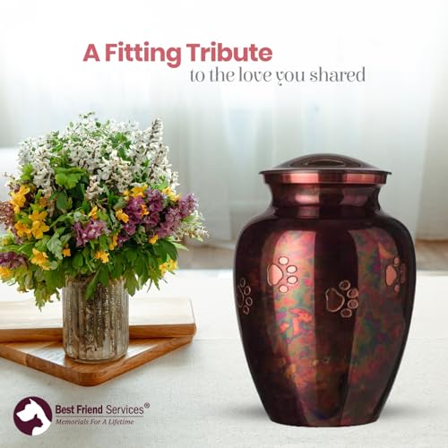Best Friend Services Pet Urn - Ottillie Paws Legacy Memorial Pet Cremation Urns for Dogs and Cats Ashes Hand Carved Brass Memory Keepsake Urn (Raku, Horizontal, Brass, Large)