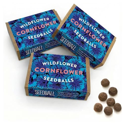 SEEDBALL Cornflower Seed Bombs (Pack of 3, 6 Balls per Box) | Eco Friendly Blue Cornflower Wild Flower Seeds - A Lovely Gardening Gift for Bees, Butterflies, Birds, Garden Wildlife & Nature Lover