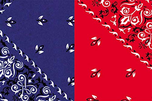 Red & Blue Bandana Gift Wrap Tissue Paper for All Occasions. 24-Pack Includes 12 Sheets of Each Pattern. Large 20 x 30 Squares.