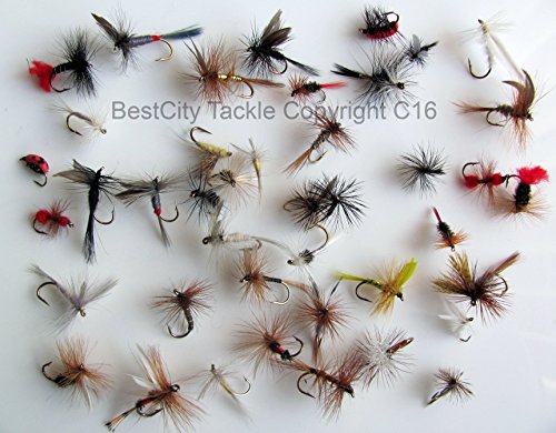 Dry Fly Fishing Flies Best Uk X 40 Trout Rod Fly Forty Dry Flies Pack 8 From Bestcity At The Fishunter