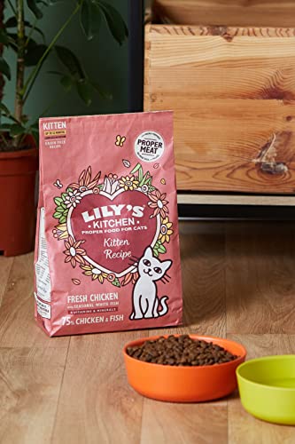 Lily's Kitchen Natürliches Kitten Trockenfutter Katzenfutter Huhn & Weißfisch 800g – Ansicht 2