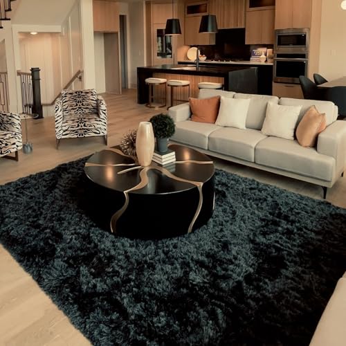 HOMORE Bedroom Rug 3x5 Black Rugs for Living Room, Luxury Fluffy Area Rugs for Indoor Entrance, Non Slip Kids Rug for Nursery Girls Boys Dorm