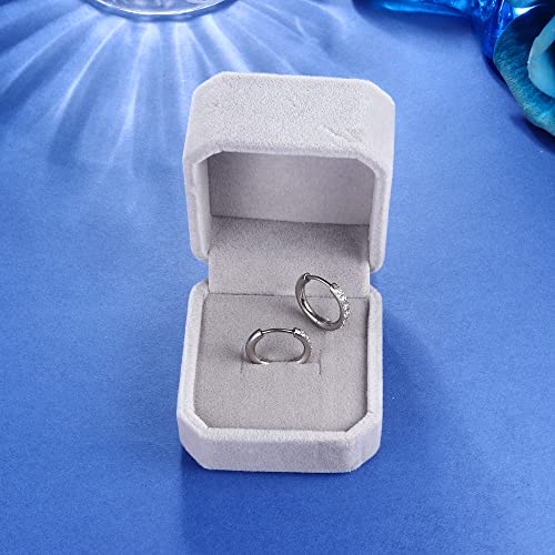 Fiasaso G23 Titanium Hoop Earrings For Women Men Teen Implant Grade Hypoallergenic Cubic Zirconia Huggie Hoop Earrings Small Hoop Earrings Silver Cz 12 #TOP4