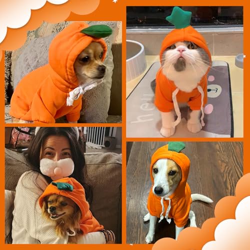 HundeKostüm Hoodie, Karotte Hundepullover mit Fleece, Warme Hunde Mantel, Weicher Hundesweatshirt, Kapuzenpulli Hund Overall, Kostüme Für Kleine Mittel, Hunde Katzen Und Haustiere M