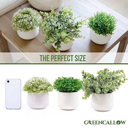 Greencallow 3 Pack In Ceramic Pot Mini Potted Fake Plants Artificial Eucalyptus For Home Office Desk Shelf Shower Kitchen Centerpiece Farmhouse Room Decor #TOP1