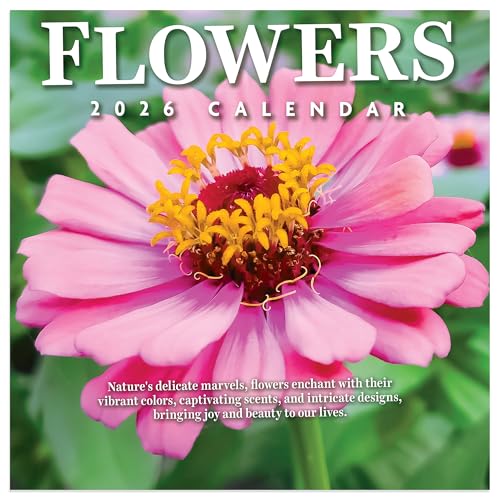 TF Publishing 2026 Flowers Mini Calendar with Monthly Grids for Appointments and Scheduling - Vertical Small Wall Calendar 2026 with Premium Gloss Paper for Home and Office Organization - 7x7in