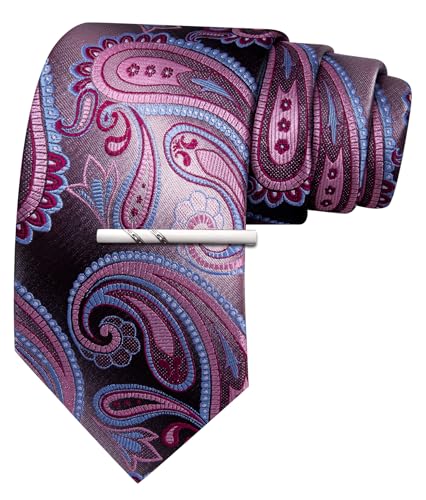 Image of Barry.Wang Paisley Tie for Men Silk Woven Necktie and Tie Clip Set Wedding Party Business Formal