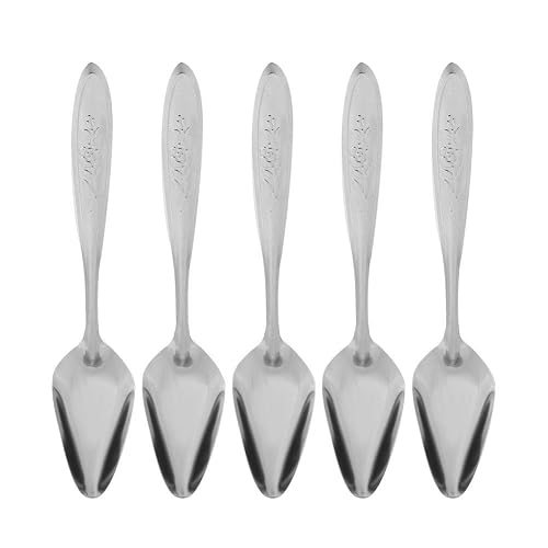 5pcs Cuchara de Acero Inoxidable en Polvo para Leche de Loro para Aves Mascotas Que Alimentan Cucharas