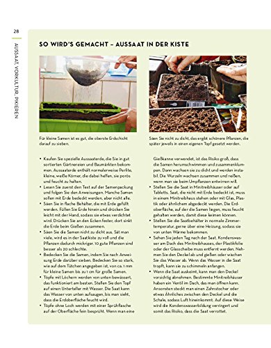 Das große Gewächshausbuch: Das ganze Jahr säen, ernten, genießen - 8