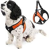 Gooby Escape Free Easy Fit Harness - Orange, Large - No Pull Step-in Patented Small Dog Harness with...